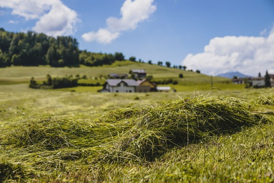 Łańcuchy do prasy - klucz do optymalizacji produkcji siana i słomy