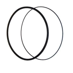 Oring tulei MWM D227