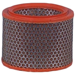 Filtr powietrza FLEETGUARD AF1953 MANN C1642