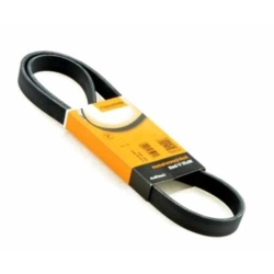 Pasek wielorowkowy 8PK1795 CONTI